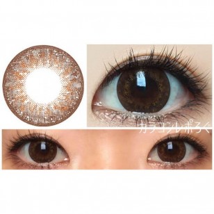 FLANMY Orange Brownie 10片裝